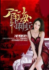 官场特种兵最新动态，小巷深处的独特风情探索
