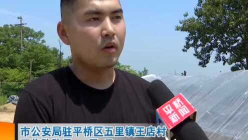 玉平最新情况及其观点论述摘要
