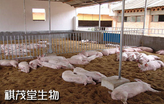 最新养殖业概览，巷弄深处的养殖奇谈