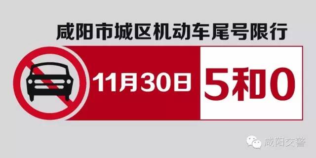 限号最新动态，12月变化中的学习之旅，自信与成就感的源泉