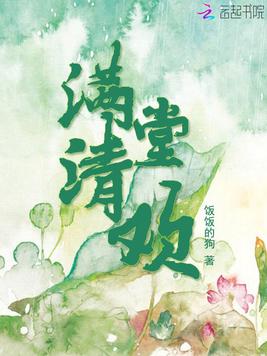 言清欢最新章节揭秘，探索故事新篇章