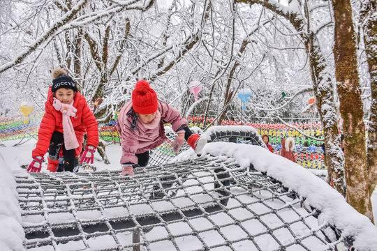 峨眉山最新雪，科技与自然的融合，前所未有的体验之旅