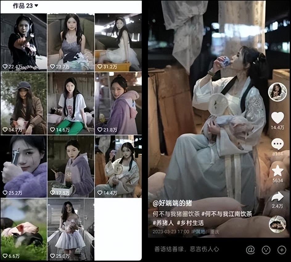 最新涨粉视频攻略，提升视频关注度一步步教程