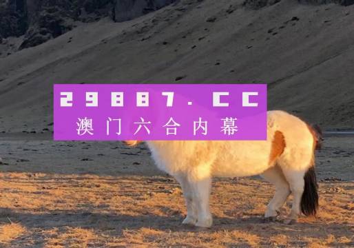 2024澳门特马今晚开奖49图,网络高清一体机_体验式版本24.169