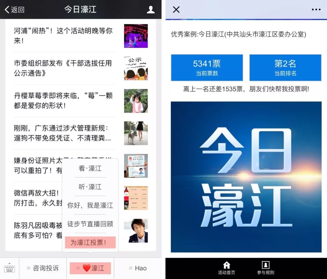 新澳精准资料免费提供濠江论坛,效率评估方案_钻石版1.969