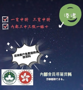 最准一肖一码一一香港澳王一王,数据解释说明规划_复兴版19.717