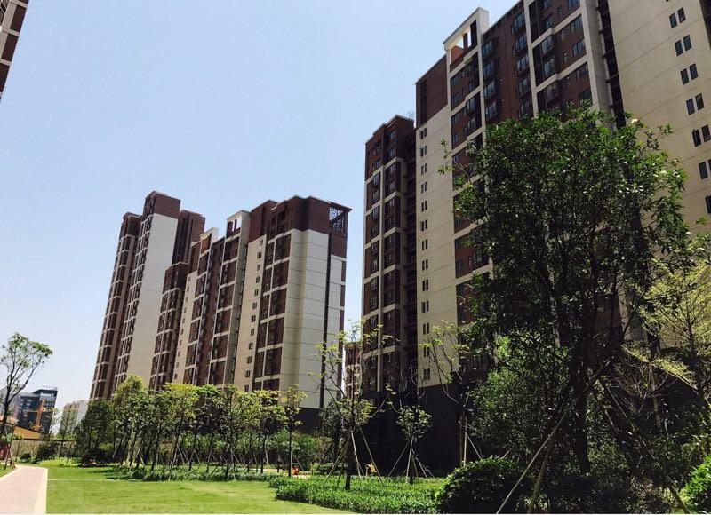 萝岗珠江嘉园最新住宅价格揭秘，变化中的学习与自信的力量