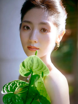 邢菲电视剧，影视魅力深度探究与影响力探析