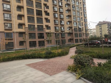 鹤壁融广春天最新动态更新，春日动态速递