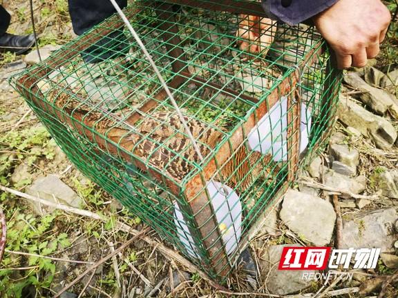 龙山红网百姓声音聚焦热议话题，最新动态与观点分析
