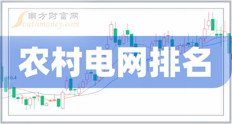 电网上市公司，多维度视角下的深度探讨