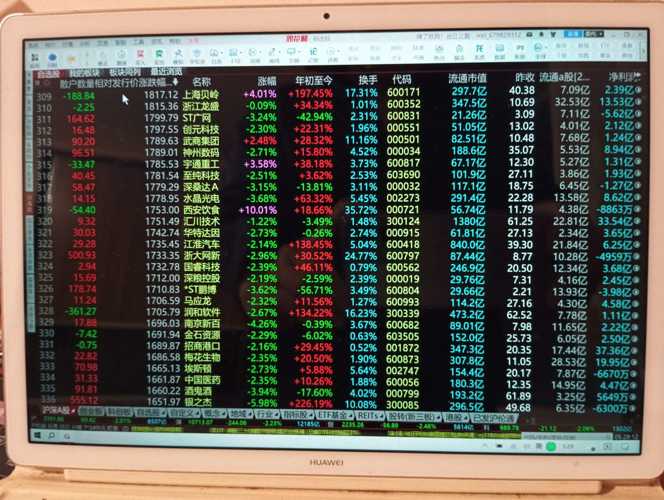金正股票的投资价值深度解析