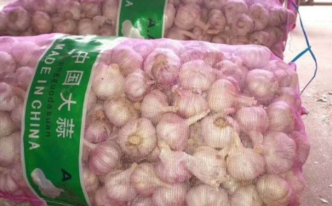 最新大蒜价格指南，查询与理解一步步的步骤