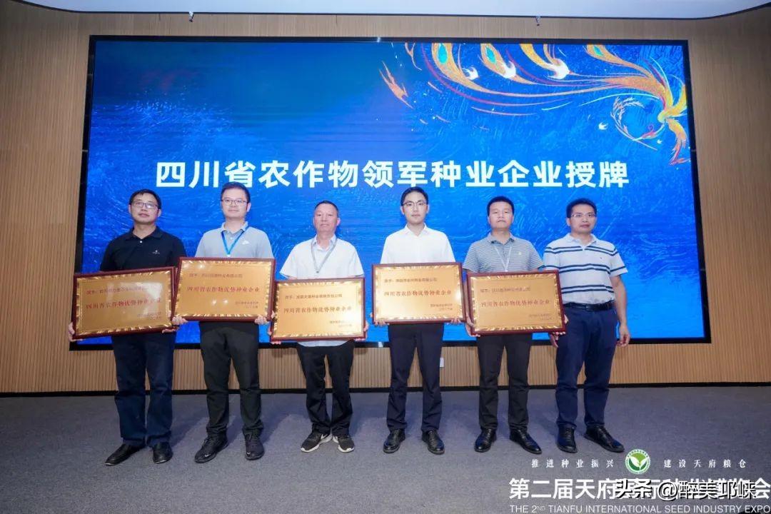 邛崃最新资讯，时代脉搏下的新篇章