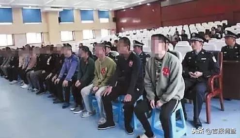 2017最新岛国大片,探索自然秘境，2017最新岛国风情大片带你远离尘嚣，寻找内心的宁静之旅