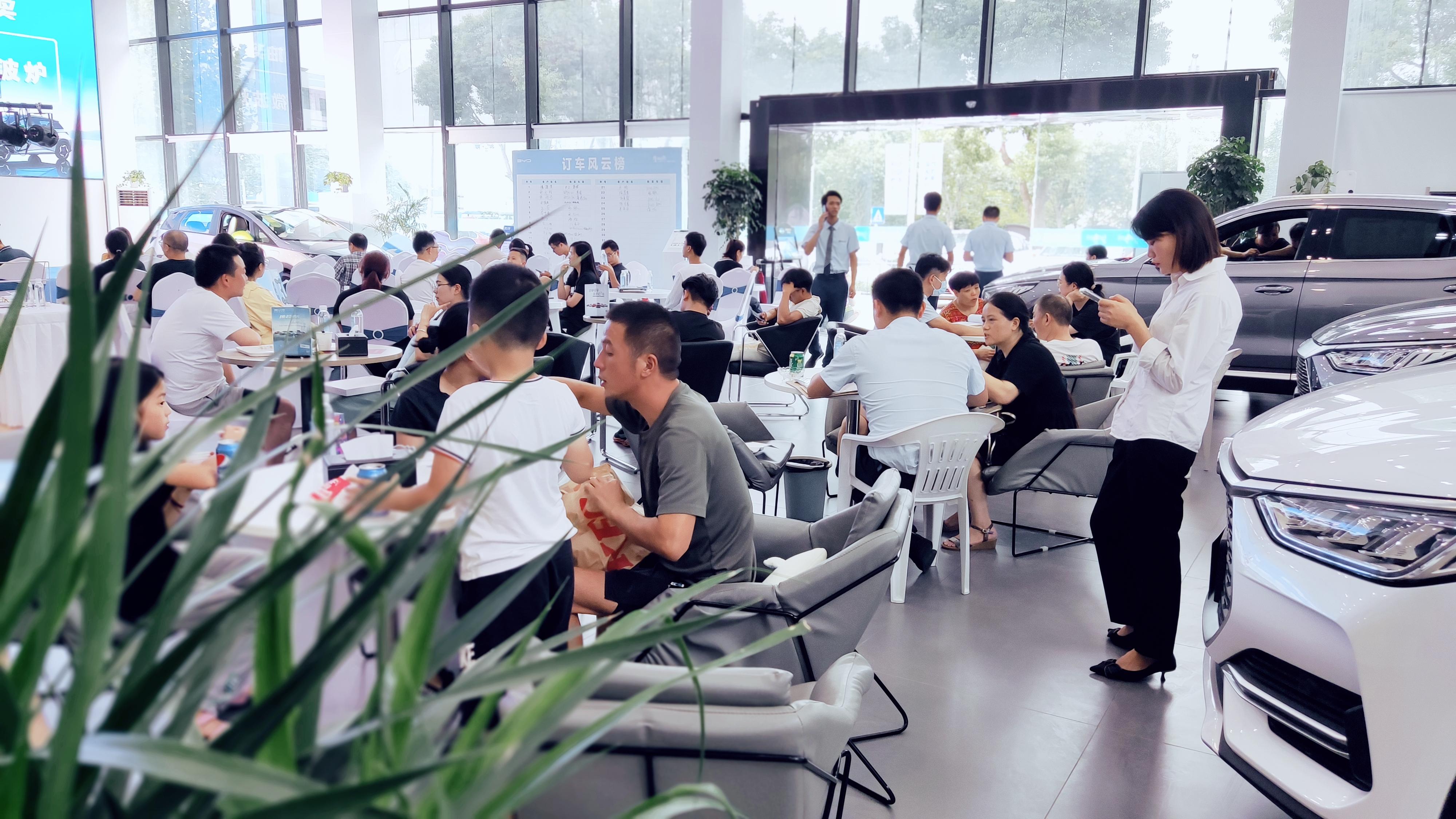 绍兴上市公司最新名录概览，全面解析上市公司信息