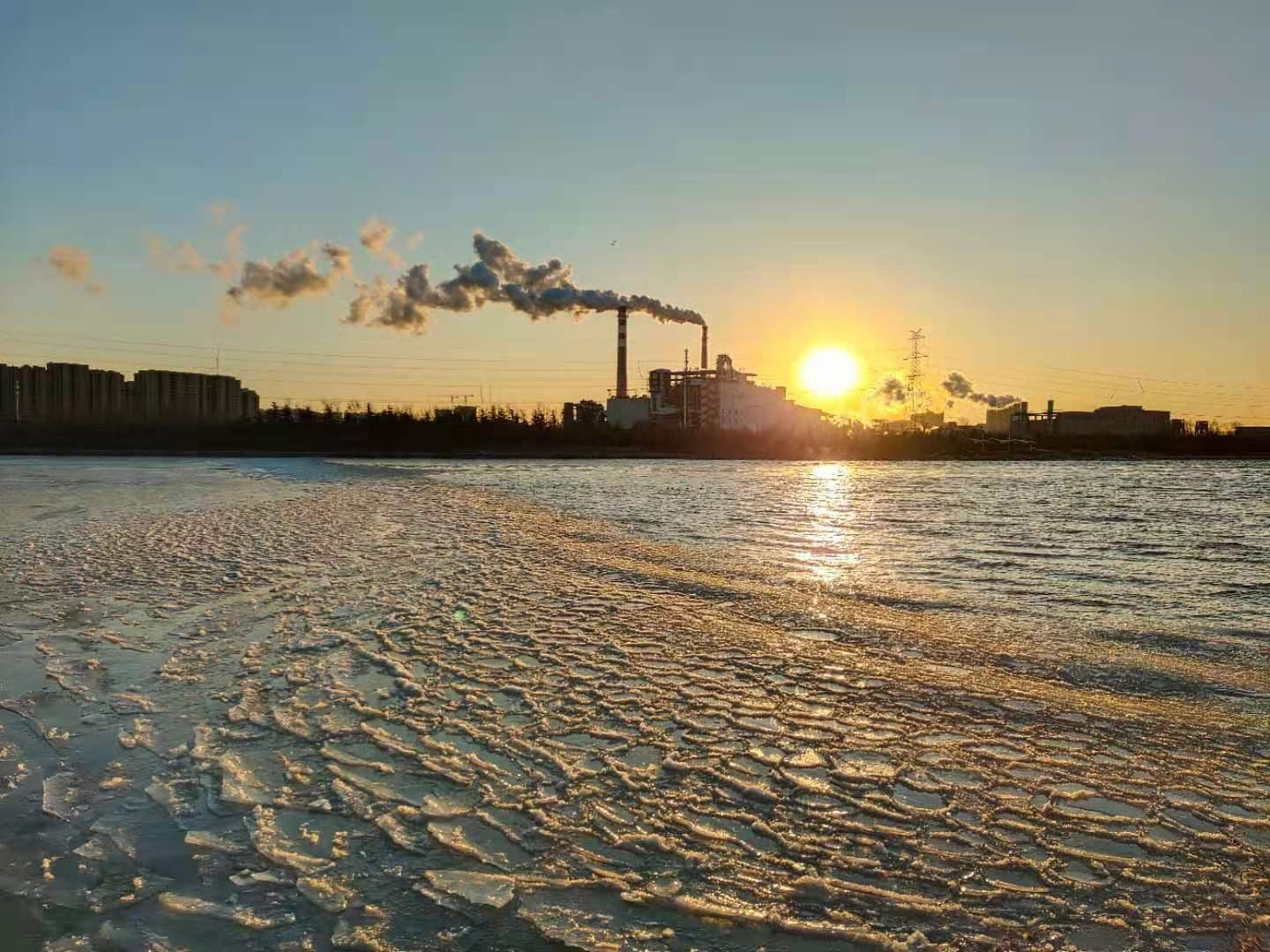 青岛最新天气及小巷中的意外发现