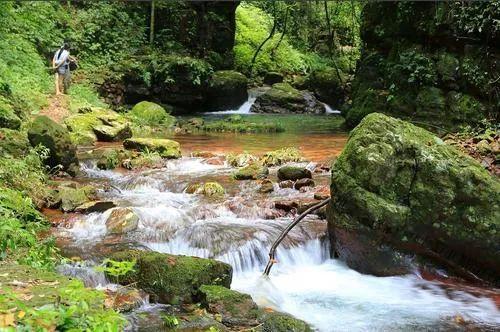 旅游股票龙头股深度探析，哪些股票值得投资？