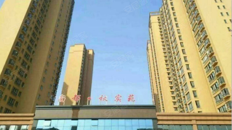 合金钢管 第55页