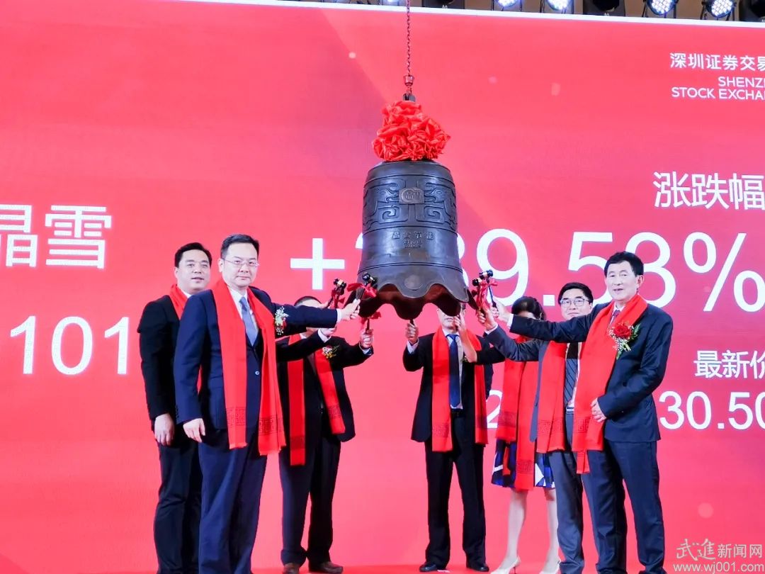 晶云公司上市，机遇与挑战并存