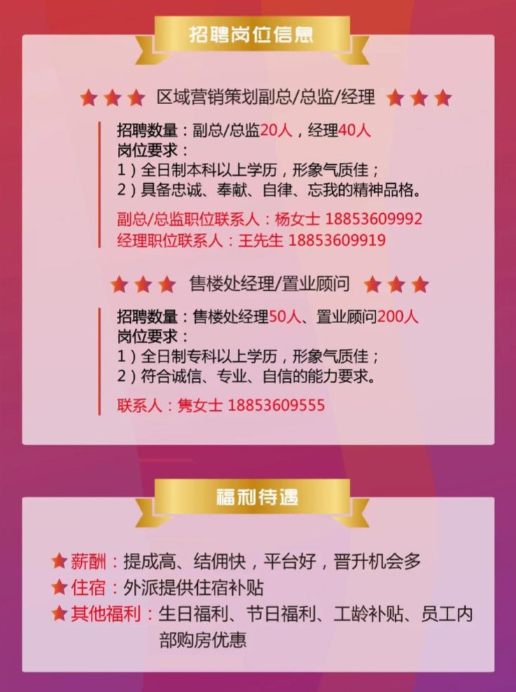 洛阳58同城最新招聘，友情纽带与工作奇遇的交汇点