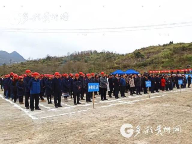 纳雍高速最新动态，驶向未来的奋进之旅