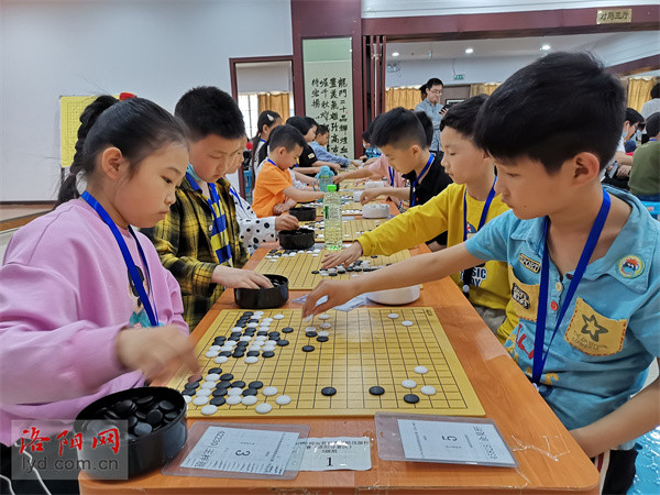 洛阳围棋比赛，探寻内心平静的围棋之旅