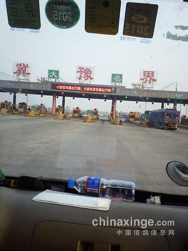 东光天宇鸽舍最新动态，与自然美景的邂逅，探寻内心平和与宁静之旅