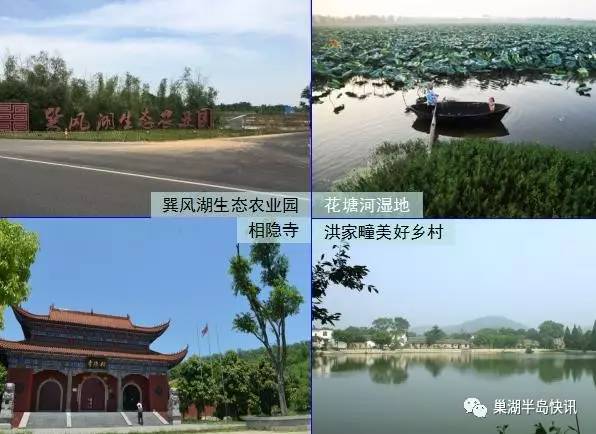 巢湖半岛最新动态揭秘，小巷深处的独特风味