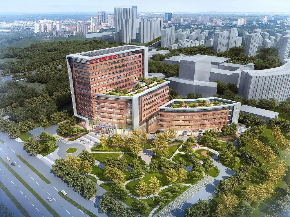 最新公立医院招聘公告详解，探讨与观点阐述