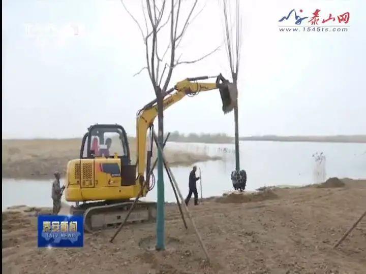 东平最新新闻报道