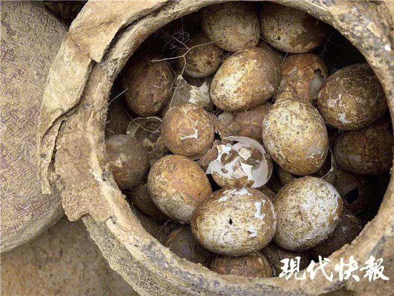 江苏鸡蛋价格行情今日报告，科技引领新鲜鸡蛋市场革新
