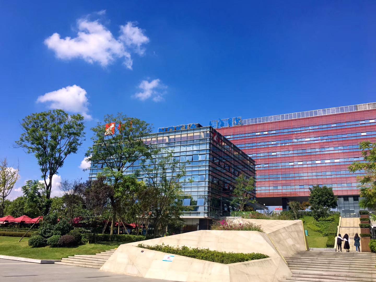新城B股上市流程及指南