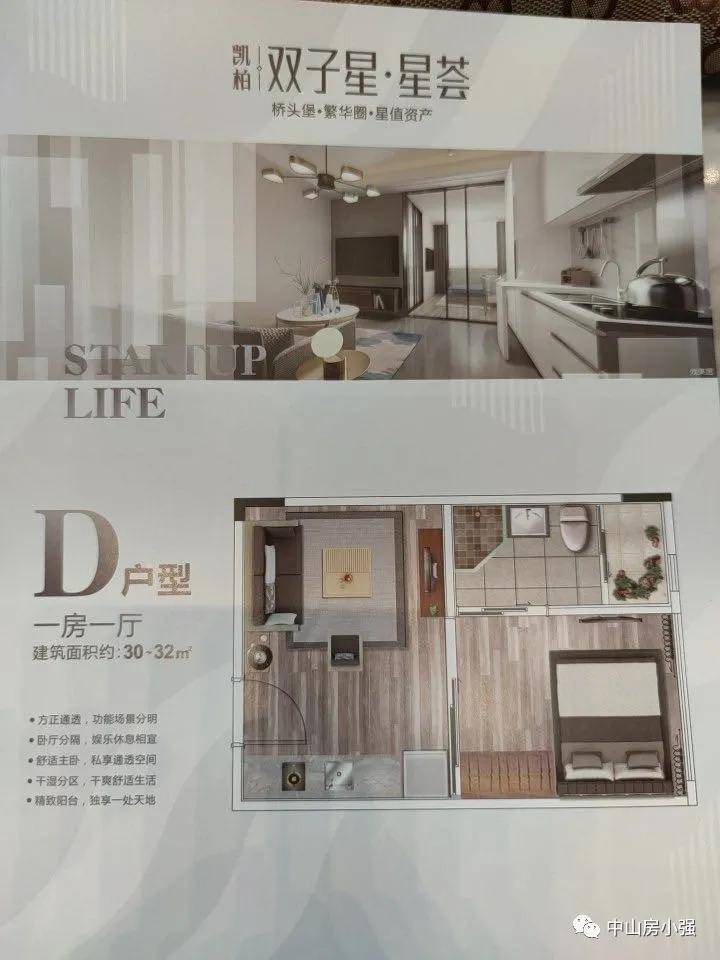 视觉盛宴中的多元表达与解读，最新图文展示精选集