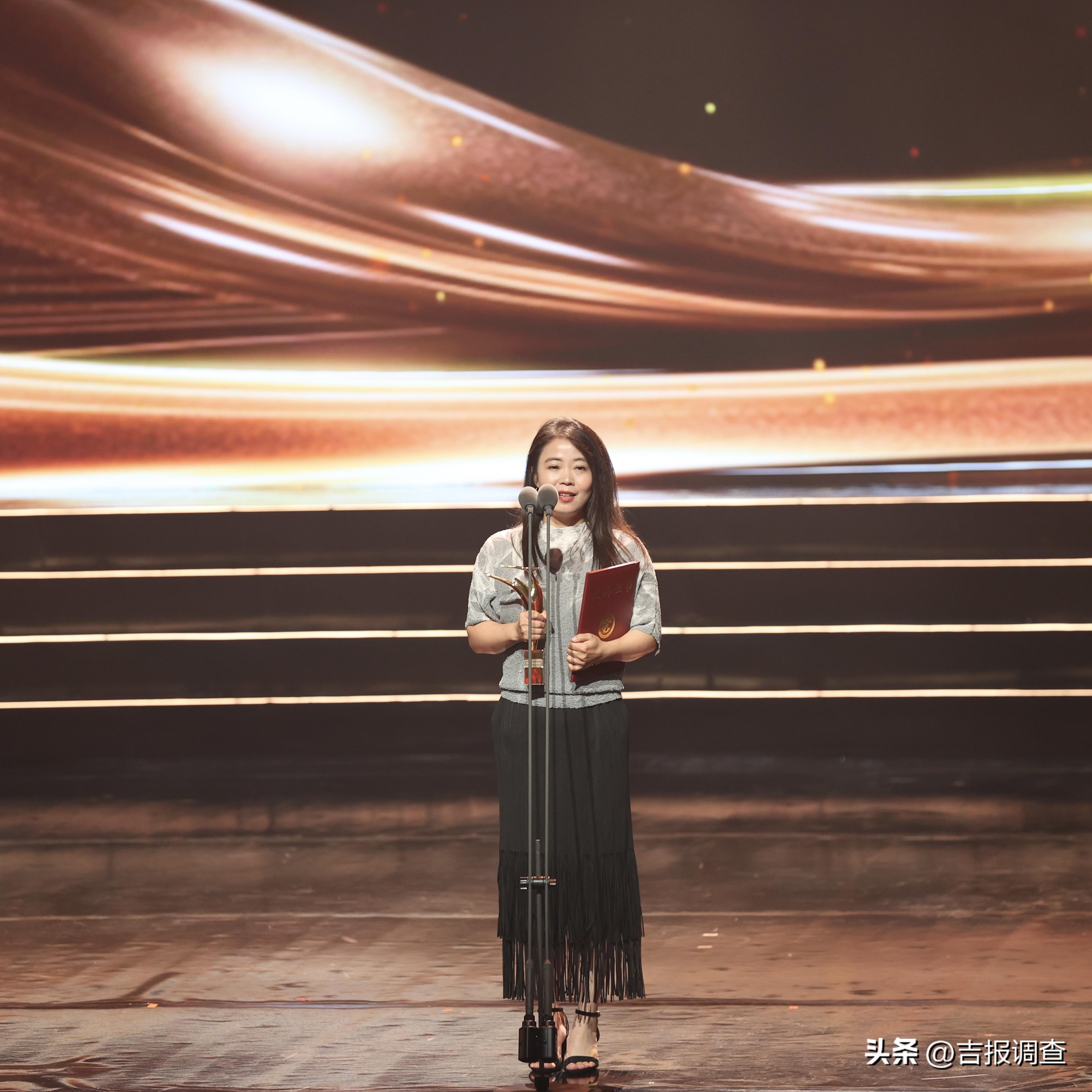 演技之巅，最佳男女演员的荣耀与探讨