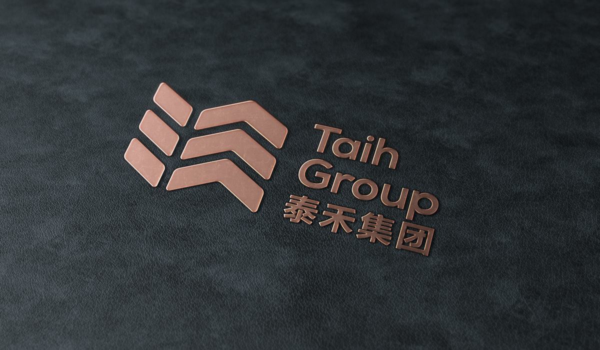 泰禾借壳上市重塑战略，开启新征程