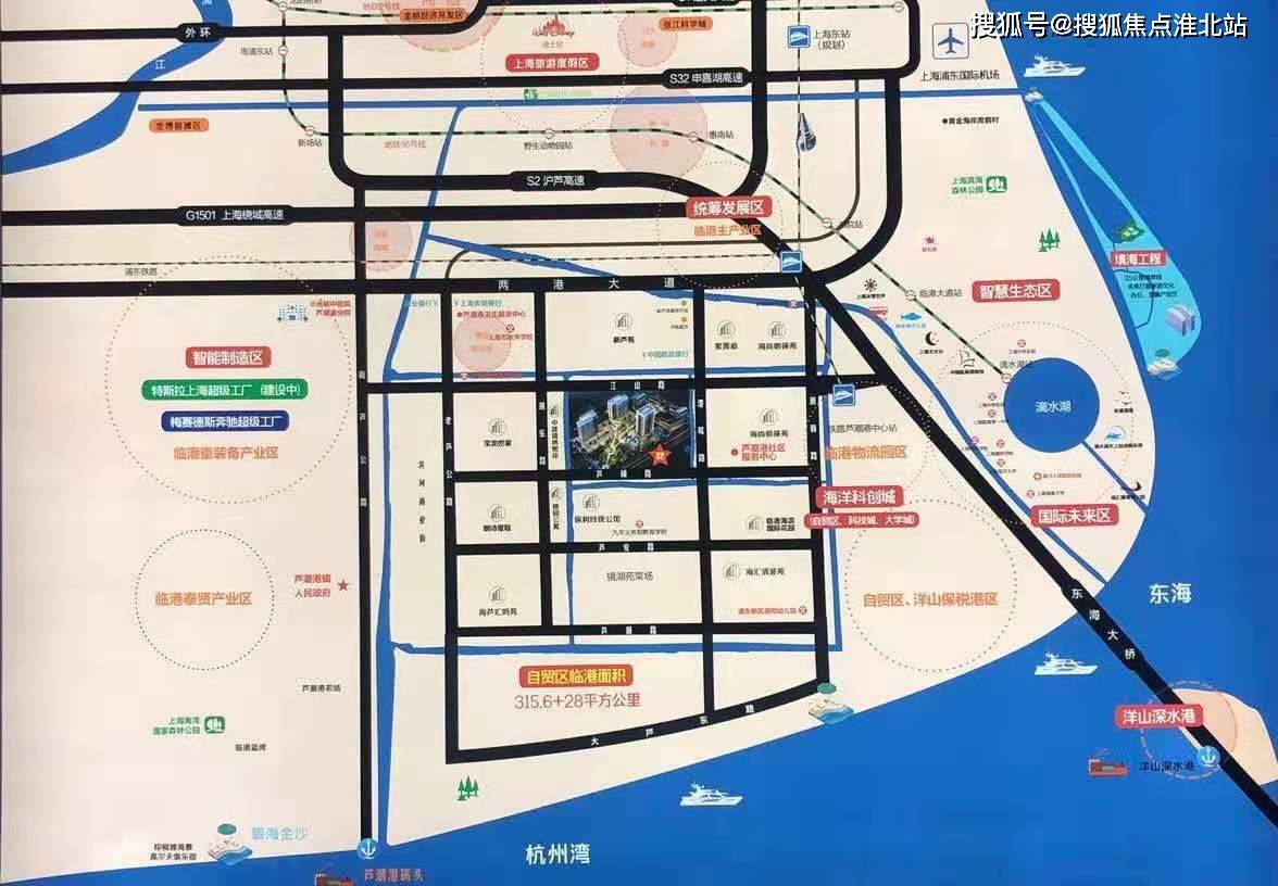 港区域最新动态概览