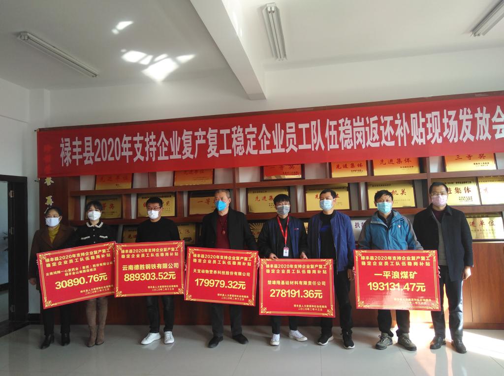 禄丰县城最新招聘信息汇总