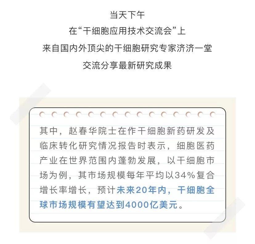 国际干细胞最新进展，科技奇迹重塑未来健康之路