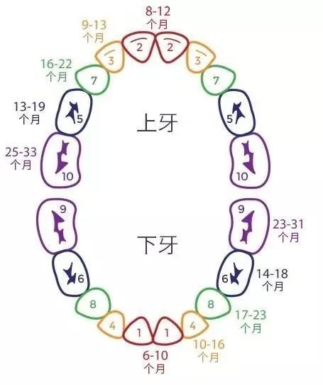宝宝知道最新版本下载深度探讨与观点阐述