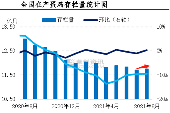 最新蛋鸡存栏数据统计揭示，科技引领养鸡业迈入新时代