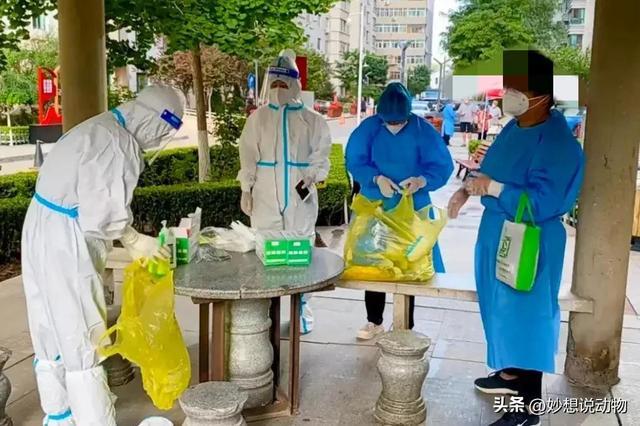 甘肃兰州疫情今日最新消息🌹